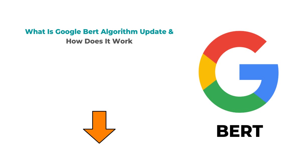 What Is Google Bert Algorithm Update